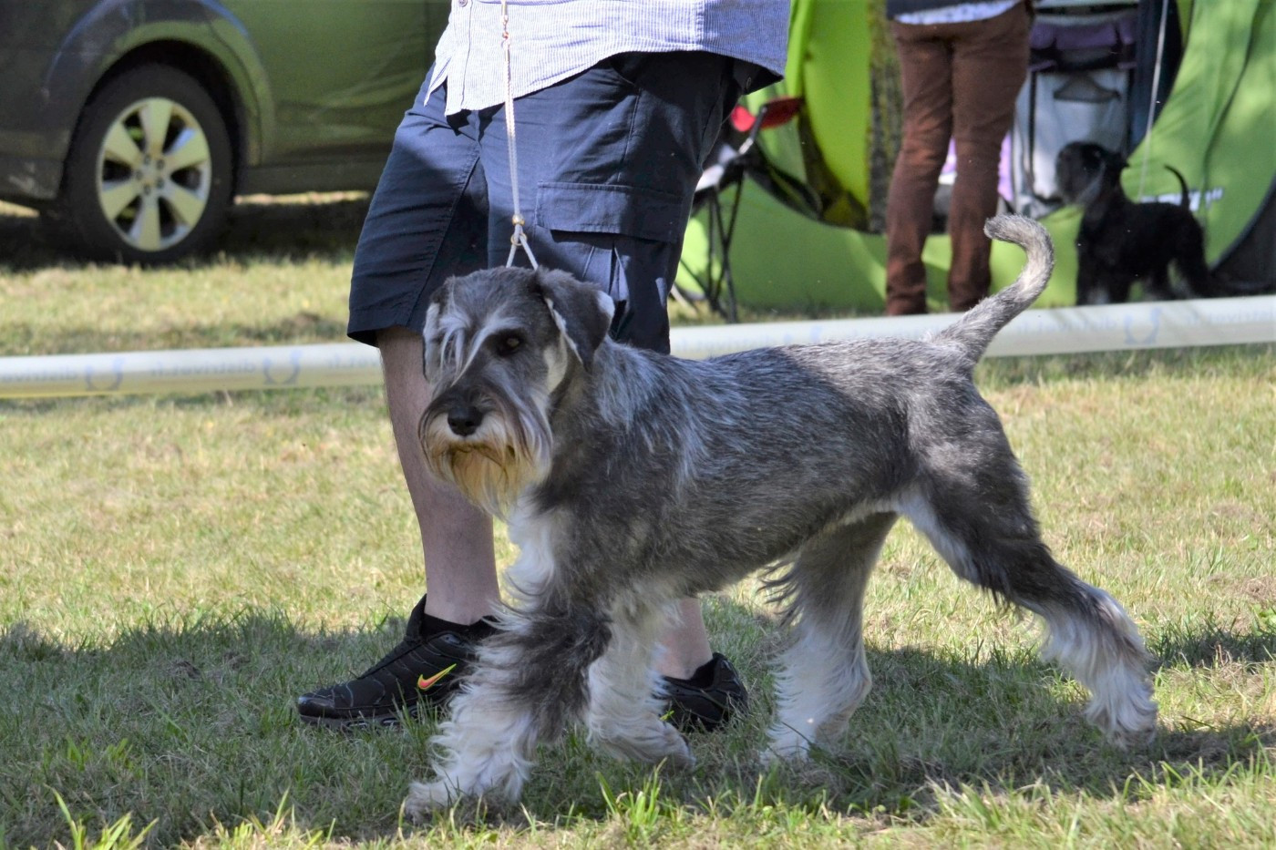 Prochaine portée 2026